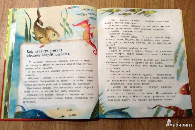 Иллюстрация 30 из 33 для Сказки из дорожного чемодана - Святослав Сахарнов | Лабиринт - книги. Источник: Юля  Весна