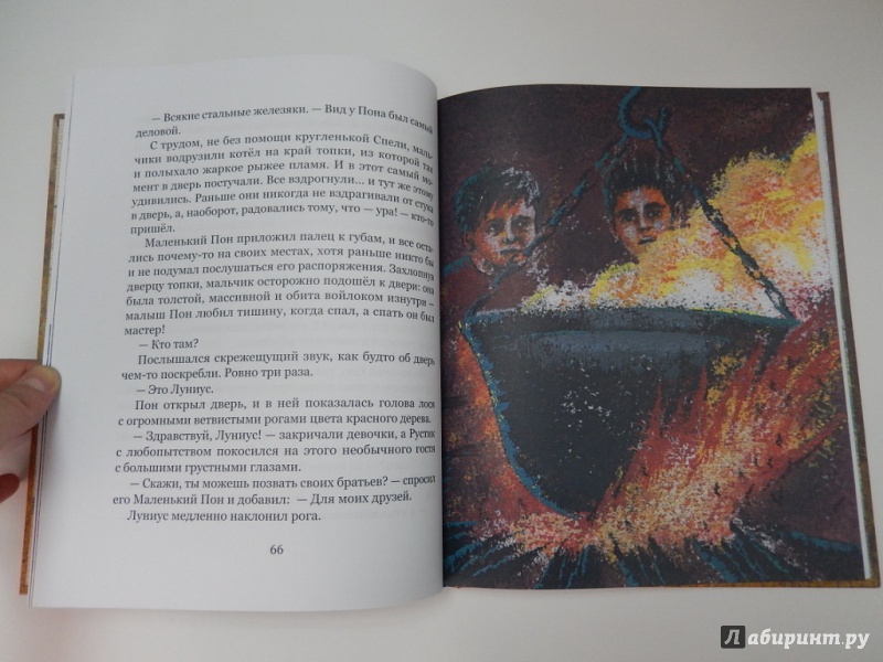 Иллюстрация 10 из 16 для Страна - Дарья Даниличева | Лабиринт - книги. Источник: dbyyb