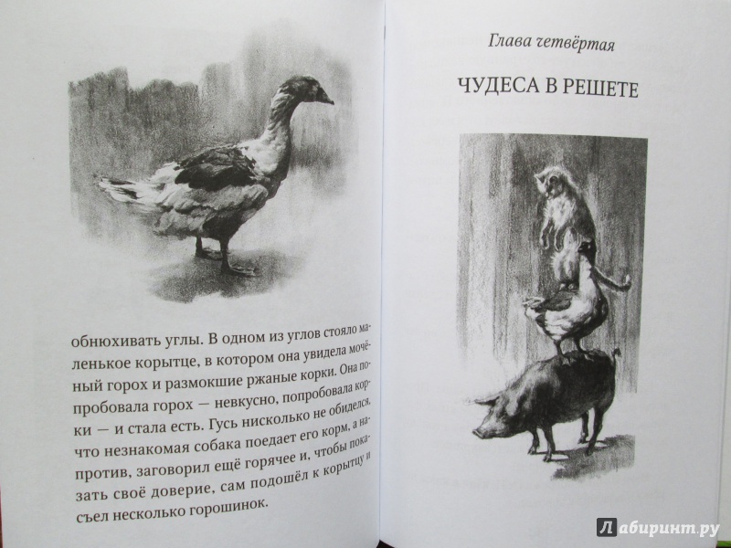 Иллюстрация 12 из 28 для Каштанка - Антон Чехов | Лабиринт - книги. Источник: Зеленая шляпа