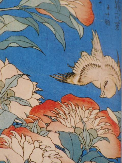 Иллюстрация 20 из 41 для Мацуо Басе и поэты его школы. Избранные хайку | Лабиринт - книги. Источник: Nemertona