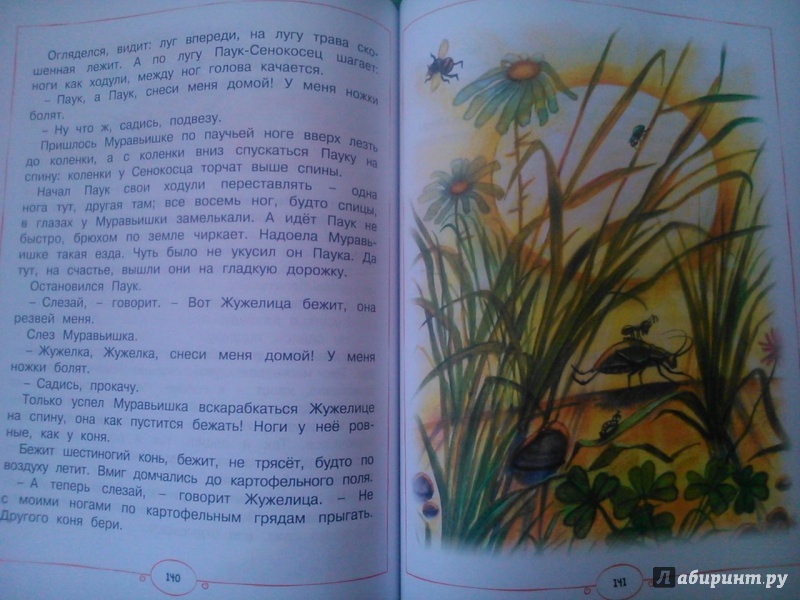 Иллюстрация 9 из 14 для Книга любимых сказок - Бианки, Житков, Толстой | Лабиринт - книги. Источник: Мороз  Людмила