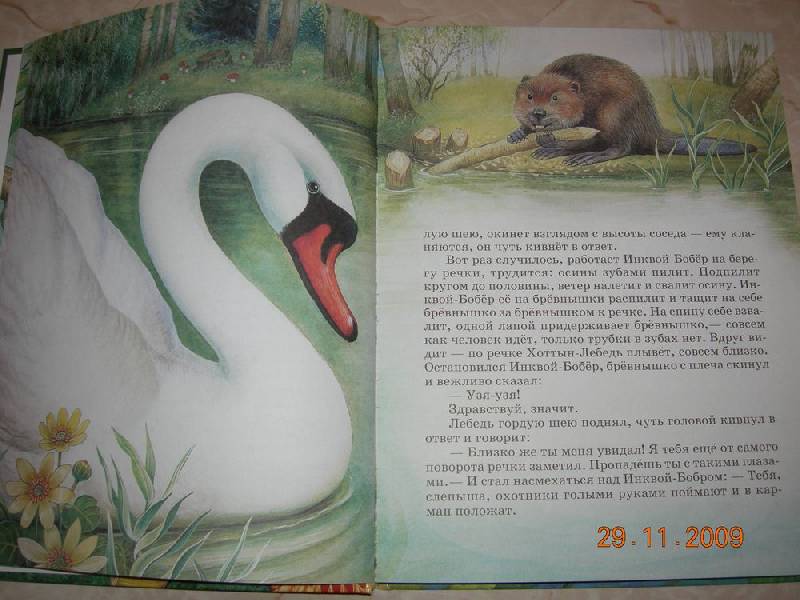 Иллюстрация 26 из 87 для Сказки о родной природе - Бианки, Сладков, Шим | Лабиринт - книги. Источник: Соловей