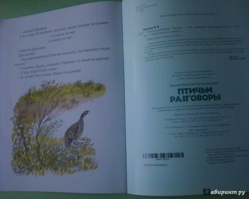 Иллюстрация 15 из 15 для Птичьи разговоры - Виталий Бианки | Лабиринт - книги. Источник: Родионова  Надежда