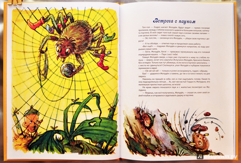 Иллюстрация 40 из 73 для Желудёк - Маргарита Старасте | Лабиринт - книги. Источник: Раскова  Юлия