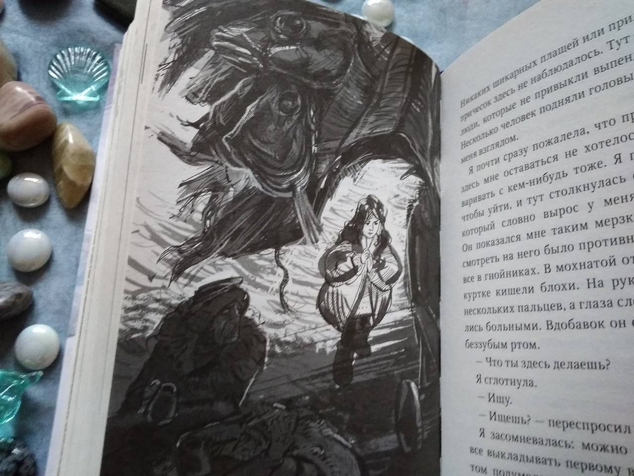 Иллюстрация 67 из 83 для Пираты Ледового моря - Фрида Нильсон | Лабиринт - книги. Источник: Исмайылова Марина