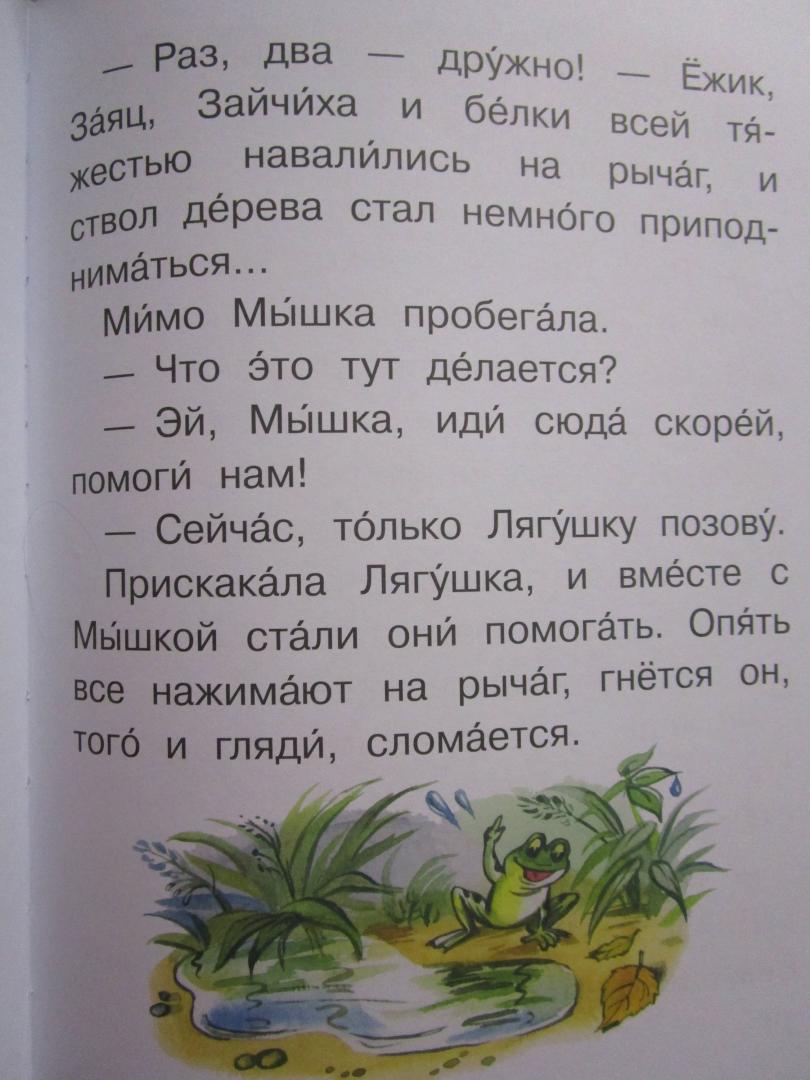 Иллюстрация 33 из 39 для Сказочные истории - Владимир Сутеев | Лабиринт - книги. Источник: читатель