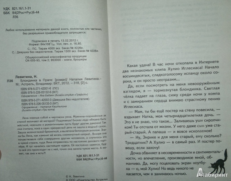 Иллюстрация 5 из 9 для Блондинка в Праге - Наталия Левитина | Лабиринт - книги. Источник: Леонид Сергеев