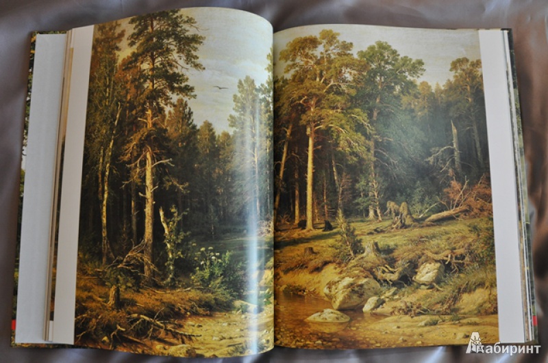 Иллюстрация 13 из 19 для Иван Шишкин. 1832-1898 | Лабиринт - книги. Источник: Olenika