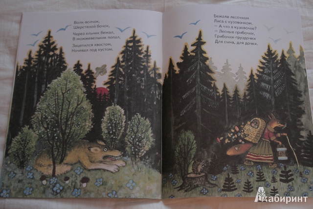 Иллюстрация 15 из 56 для Русские народные сказки-потешки. Комплект из 5 книг в папке - Юрий Васнецов | Лабиринт - книги. Источник: АлександраАлександра