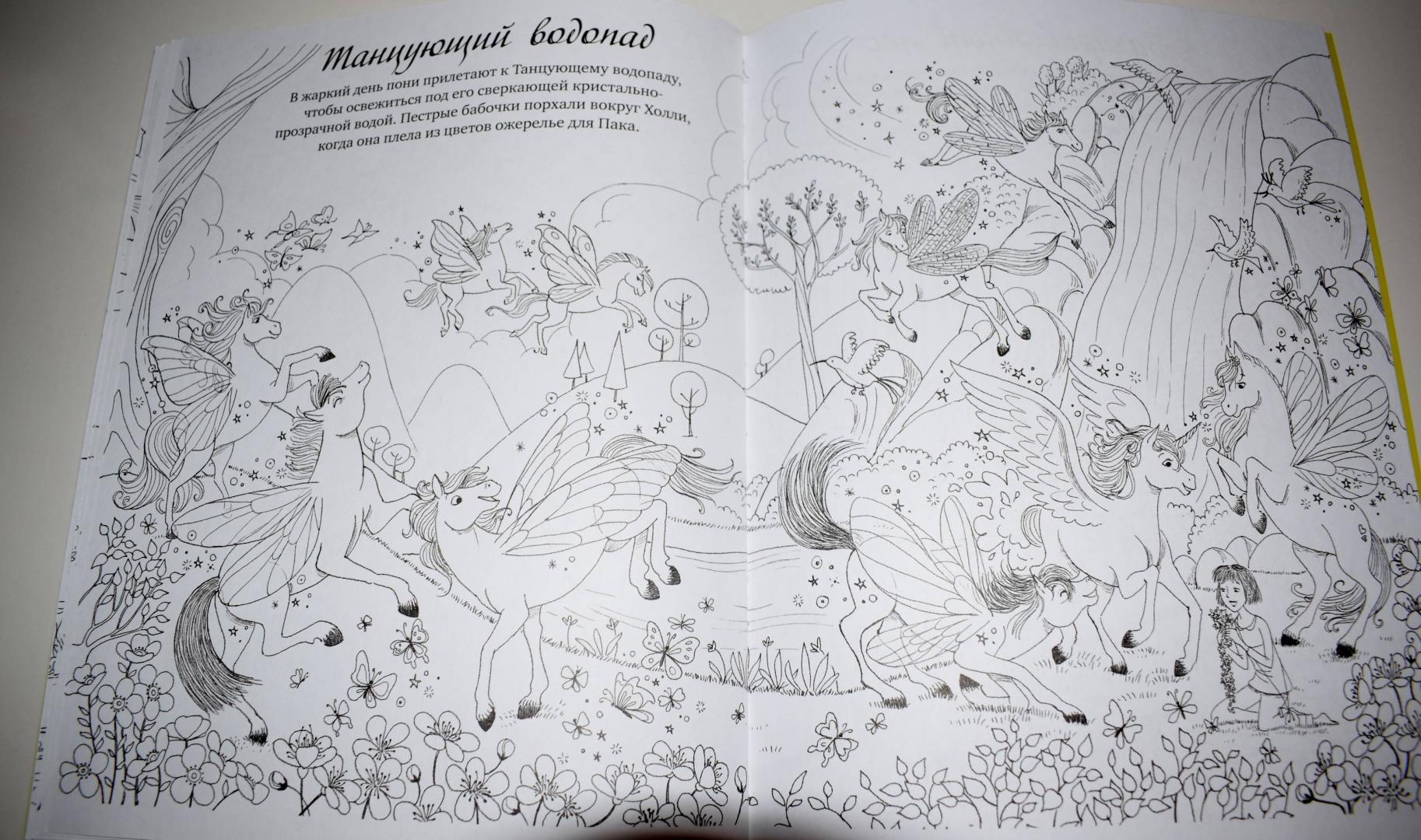 Иллюстрация 35 из 35 для Пони-феи. Раскраски - Симс, Дэвидсон | Лабиринт - книги. Источник: Лабиринт