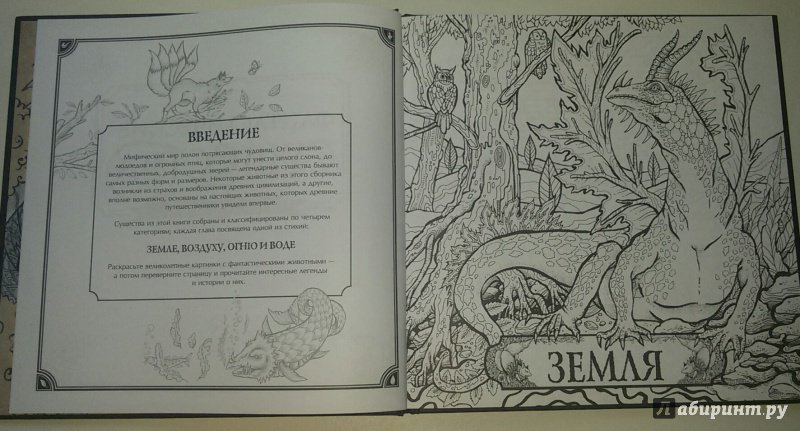 Иллюстрация 14 из 49 для Фантастические существа. Книга-раскраска | Лабиринт - книги. Источник: Маркона