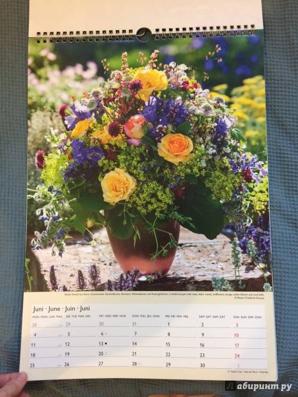 Иллюстрация 6 из 11 для Календарь 2018 "Милые цветы" 29,7*42 (95253) | Лабиринт - сувениры. Источник: Басавина  Инна Валерьевна