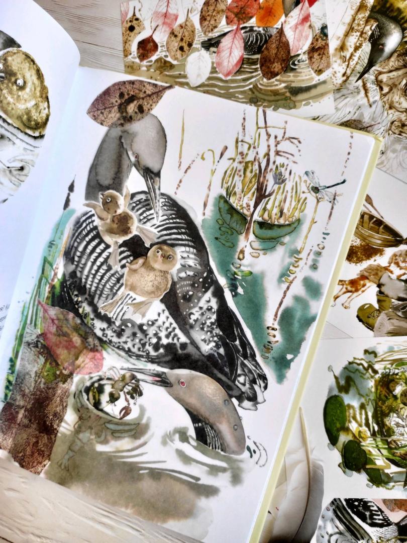 Иллюстрация 100 из 118 для Жила за морем Гагара - Валерий Кастрючин | Лабиринт - книги. Источник: @bumazhniy_gorod
