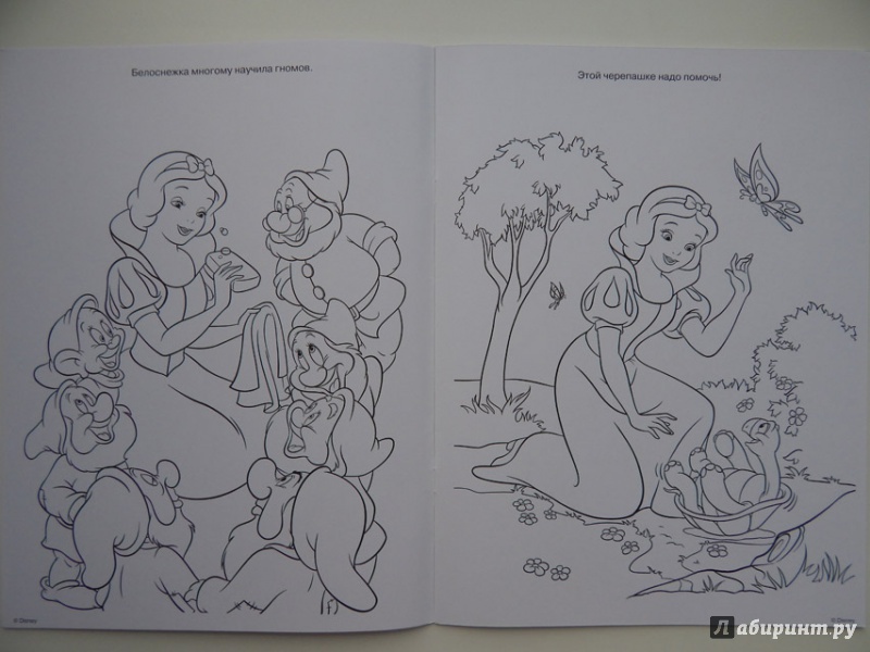 Иллюстрация 3 из 23 для Волшебная раскраска. Принцессы (№14007) | Лабиринт - книги. Источник: Мелкова  Оксана