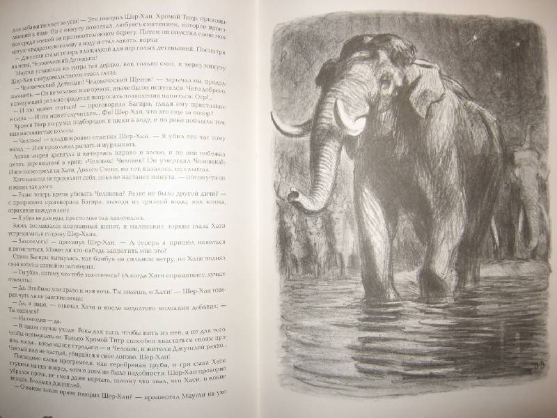 Иллюстрация 20 из 30 для Маугли - Редьярд Киплинг | Лабиринт - книги. Источник: W
