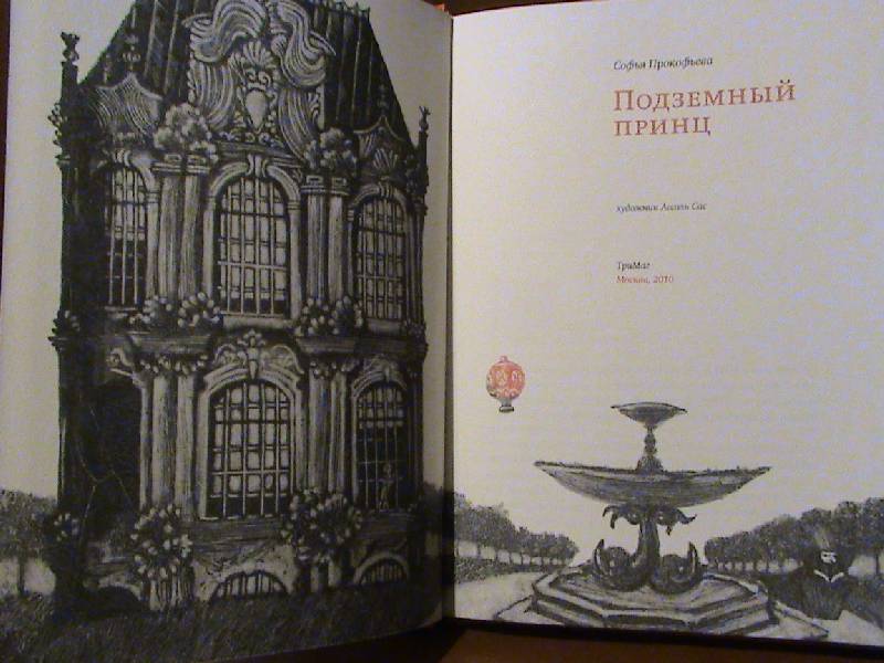 Иллюстрация 25 из 58 для Подземный принц - Софья Прокофьева | Лабиринт - книги. Источник: Обычная москвичка