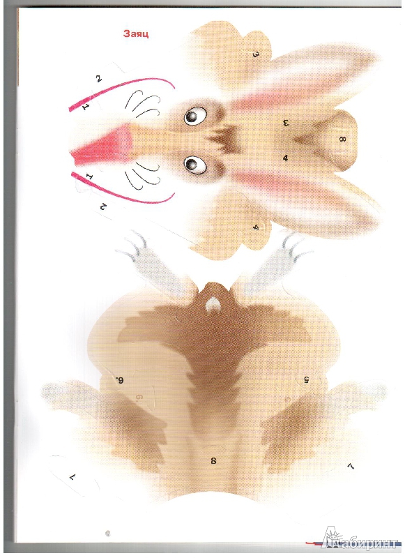 Иллюстрация 5 из 11 для Заяц и черепаха - Владимир Степанов | Лабиринт - игрушки. Источник: gabi