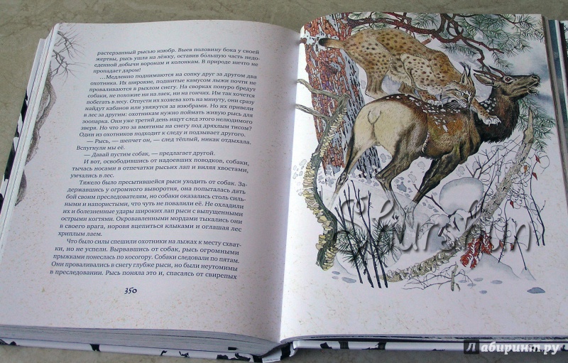 Иллюстрация 35 из 154 для Золотая Ригма - Всеволод Сысоев | Лабиринт - книги. Источник: Shurshun