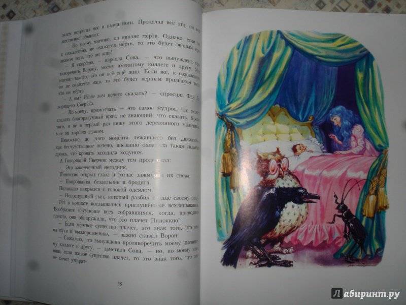 Иллюстрация 88 из 106 для Приключения Пиноккио - Карло Коллоди | Лабиринт - книги. Источник: Антонова  Марина