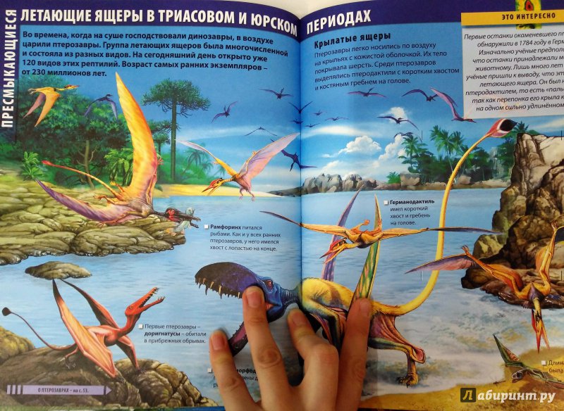 Иллюстрация 11 из 15 для Динозавры - Барбара Маевская | Лабиринт - книги. Источник: Савчук Ирина