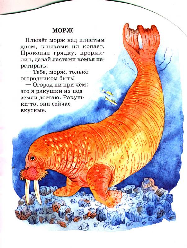 Иллюстрация 3 из 3 для В холодном море - Святослав Сахарнов | Лабиринт - книги. Источник: OOlga