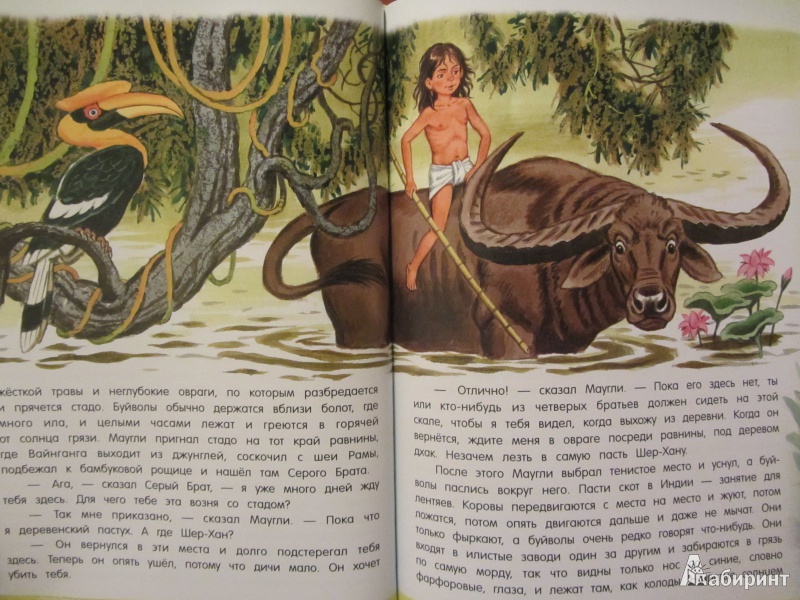 Иллюстрация 37 из 97 для Маугли - Редьярд Киплинг | Лабиринт - книги. Источник: Сандракова Юля