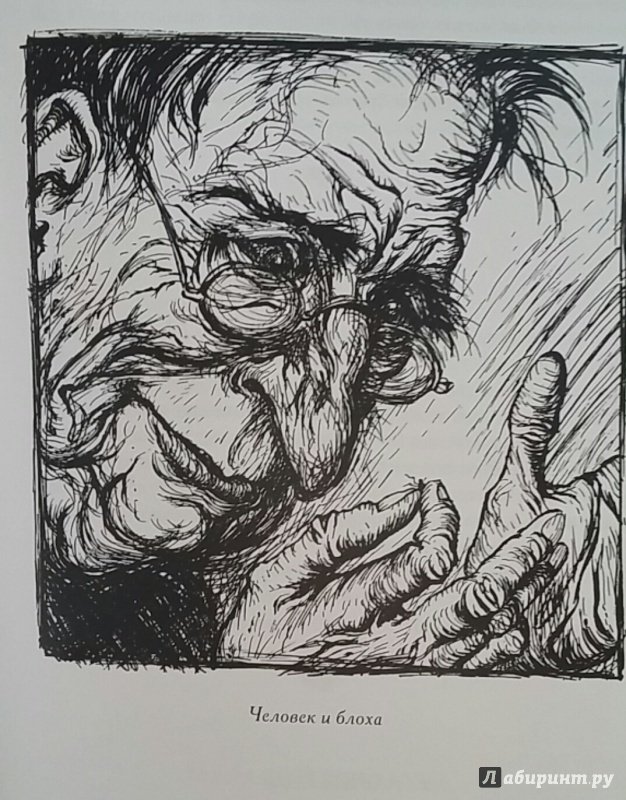 Иллюстрация 29 из 43 для Басни Эзопа и его жизнеописание - Эзоп | Лабиринт - книги. Источник: Pallada