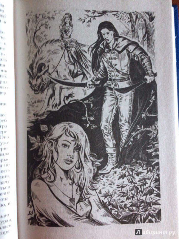 Иллюстрация 21 из 43 для Фея для лорда тьмы - Ева Никольская | Лабиринт - книги. Источник: Alyona M
