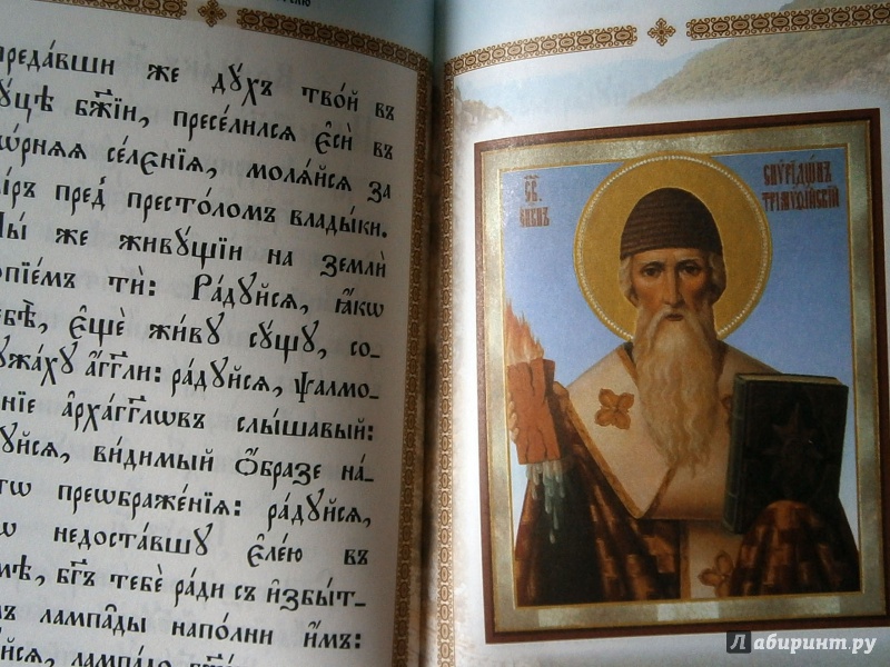 Иллюстрация 11 из 12 для Акафист святителю Спиридону епископу Тримифунтскому | Лабиринт - книги. Источник: D8  _