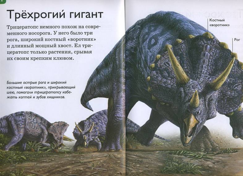 Иллюстрация 23 из 31 для Динозавры - Роберт Коуп | Лабиринт - книги. Источник: Pallada
