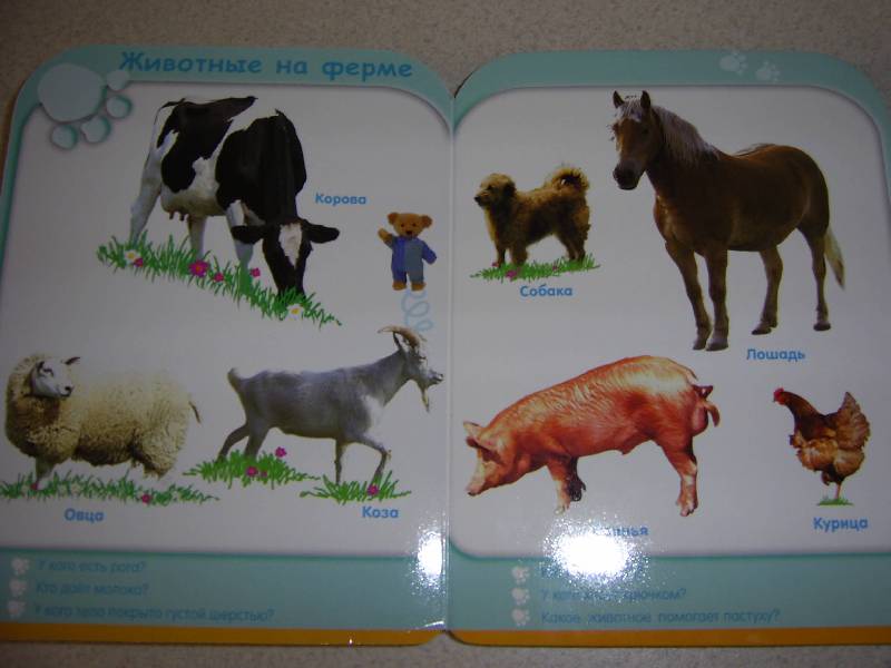 Иллюстрация 17 из 24 для Мир животных (24-36 мес.) | Лабиринт - книги. Источник: Лилианна