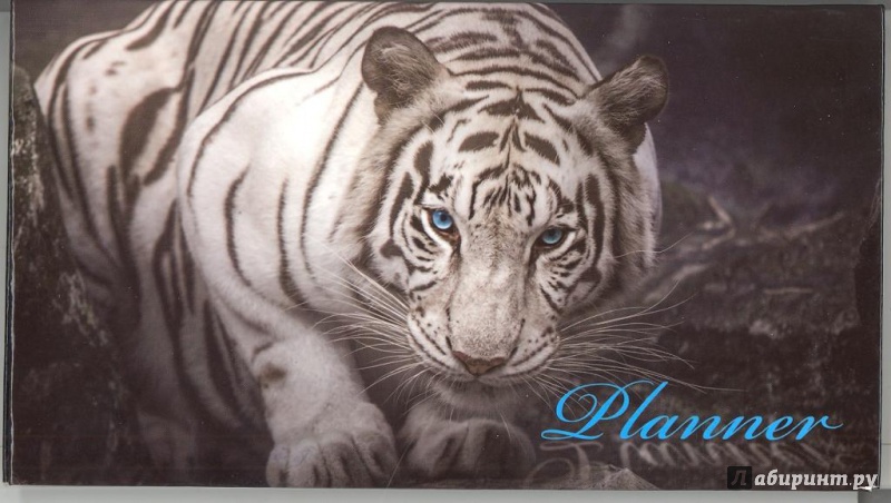 Иллюстрация 2 из 7 для Планинг недатированный "Белый тигр" (64 листа) (37606) | Лабиринт - канцтовы. Источник: Елена Весна
