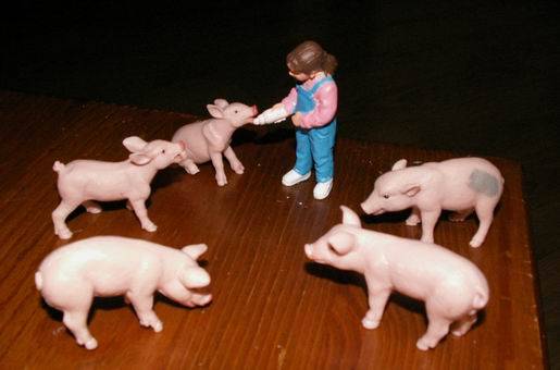 Иллюстрация 4 из 5 для Свинки и зайцы, 12 фигурок (689404) | Лабиринт - игрушки. Источник: ariadna