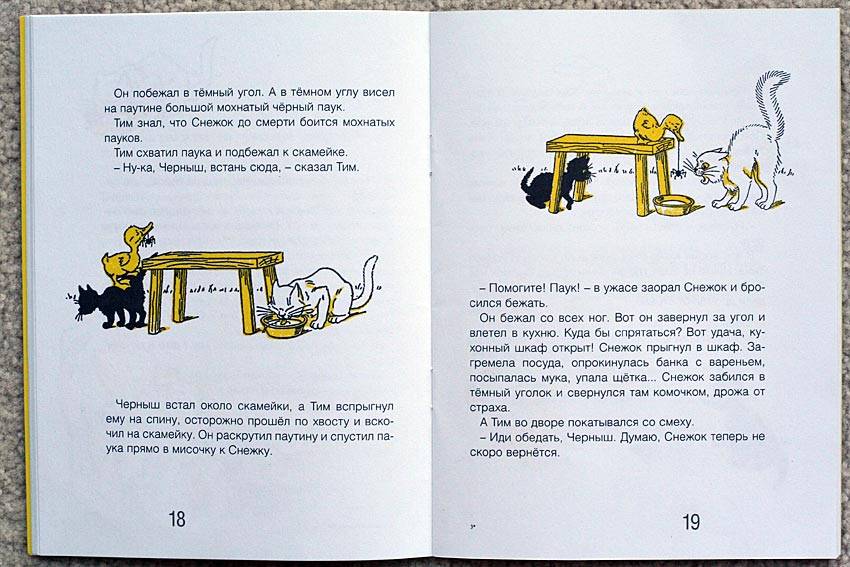 Иллюстрация 5 из 10 для Знаменитый утенок Тим: Сказка - Энид Блайтон | Лабиринт - книги. Источник: HappyJul