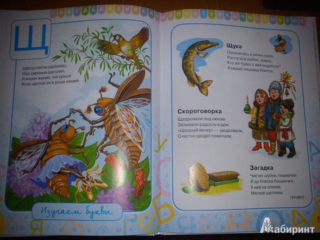 Иллюстрация 26 из 31 для Азбука для малышей - Ольга Шуваева | Лабиринт - книги. Источник: Глебуняшкина мамочка