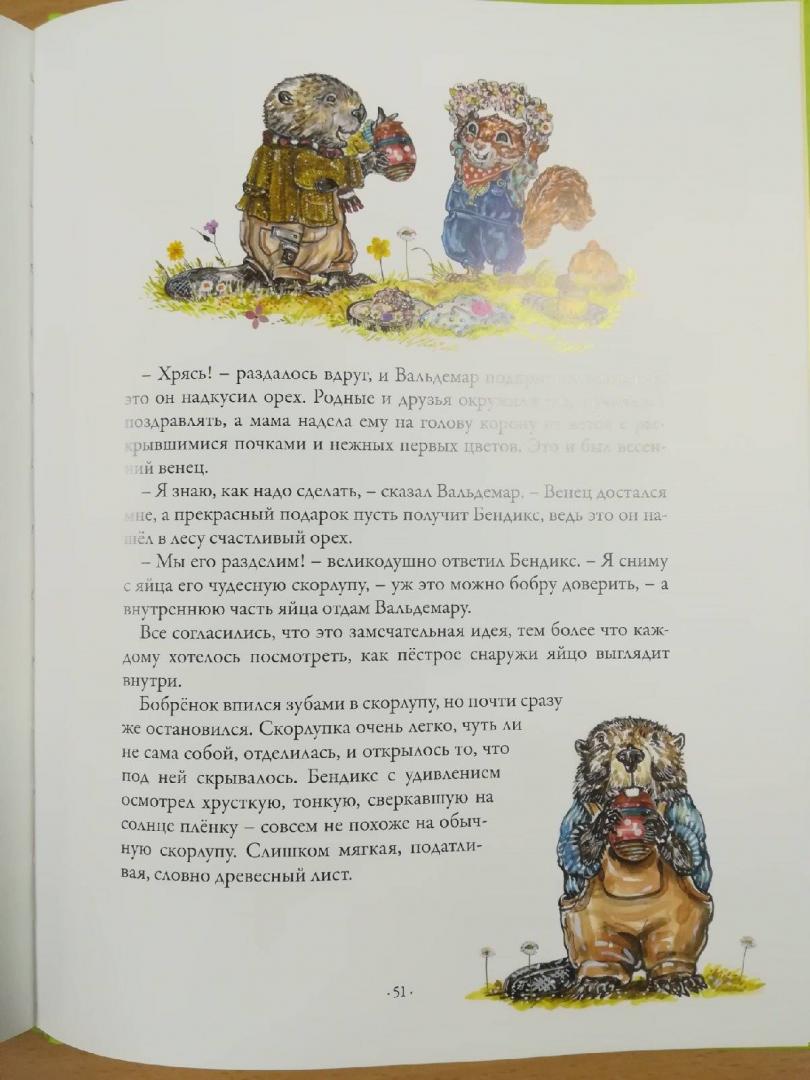 Иллюстрация 42 из 43 для Торопрыги встречают весну - Каролина Роннефельдт | Лабиринт - книги. Источник: Якимова  Юлия