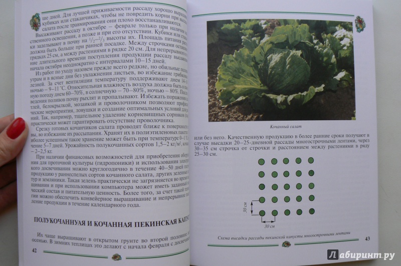 Иллюстрация 3 из 23 для Ранние овощи. Пособие для садоводов-любителей - Вадим Мухин | Лабиринт - книги. Источник: Марина