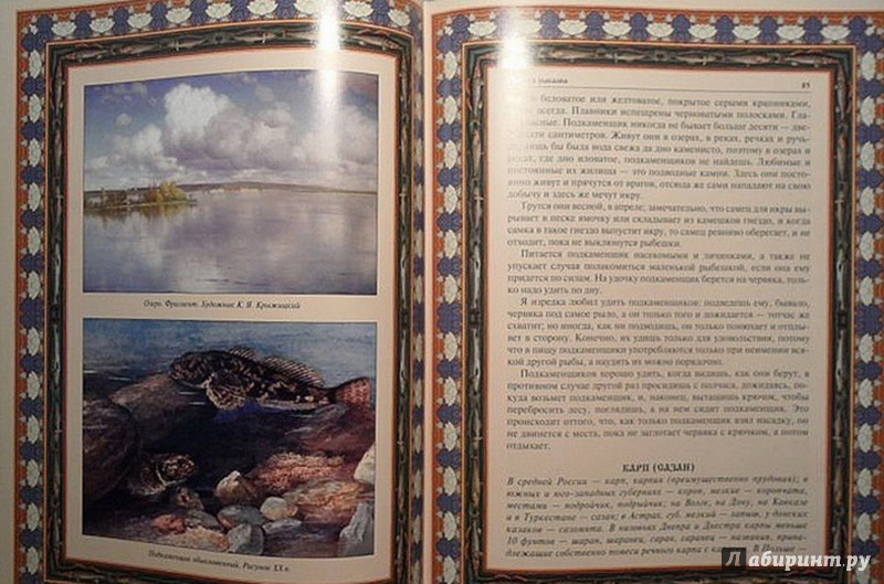 Иллюстрация 3 из 9 для Русская рыбалка (шелк) | Лабиринт - книги. Источник: Елизовета Савинова