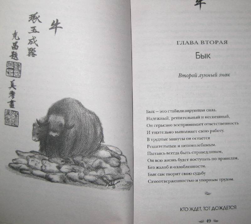 Иллюстрация 15 из 15 для Китайские гороскопы для ваших детей - Теодора Лау | Лабиринт - книги. Источник: Frosty
