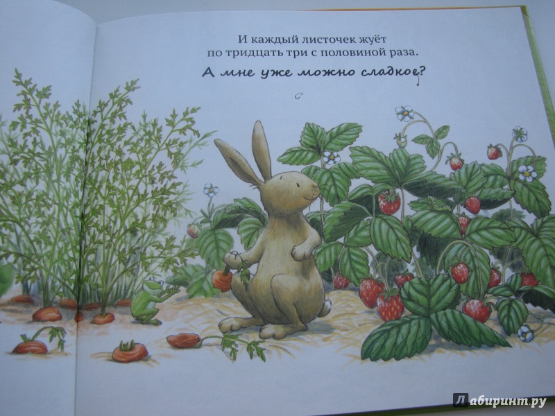 Заяц и черепаха читать. Заяц и черепаха. Заяц и черепаха книжка малышка. Гурина и. в. "первое чтение. Заяц и Медвежонок". Книжка про черепаху черри.