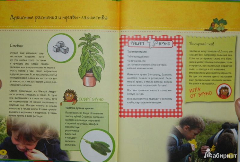 Иллюстрация 4 из 12 для Маленький повар + Маленький садовник - Флото-Штаммен, Кюппер, Вагнер | Лабиринт - книги. Источник: JuNi