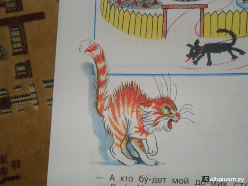Иллюстрация 35 из 35 для Капризная кошка - Владимир Сутеев | Лабиринт - книги. Источник: Мама чуда
