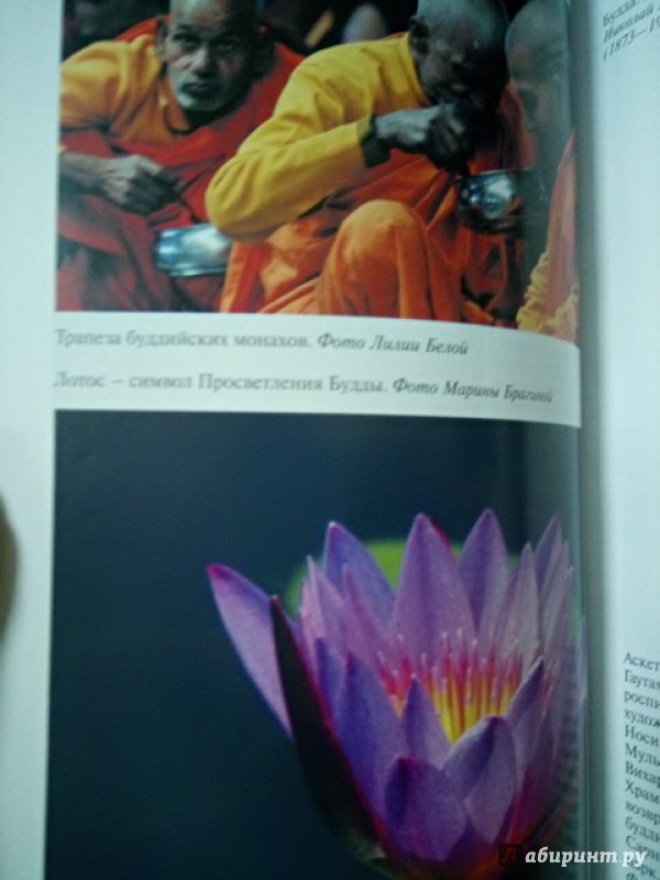 Иллюстрация 24 из 27 для Будда - Александр Сенкевич | Лабиринт - книги. Источник: Салус