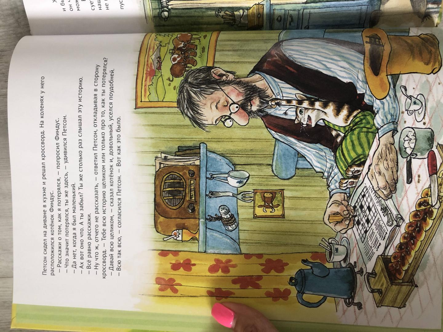 Иллюстрация 99 из 102 для История о том как Финдус потерялся, когда был маленьким - Свен Нурдквист | Лабиринт - книги. Источник: Ки  Анастасия