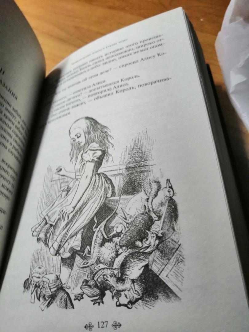 Иллюстрация 84 из 91 для Алиса в Стране чудес и в Зазеркалье - Льюис Кэрролл | Лабиринт - книги. Источник: Лабиринт