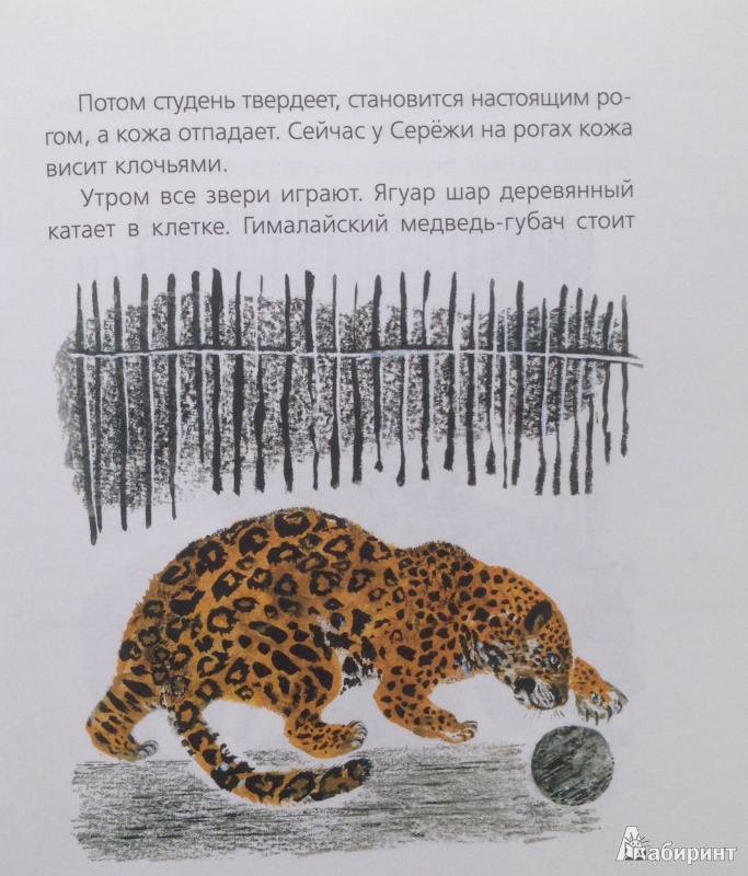 Иллюстрация 11 из 12 для Птичье озеро - Евгений Чарушин | Лабиринт - книги. Источник: Xikary