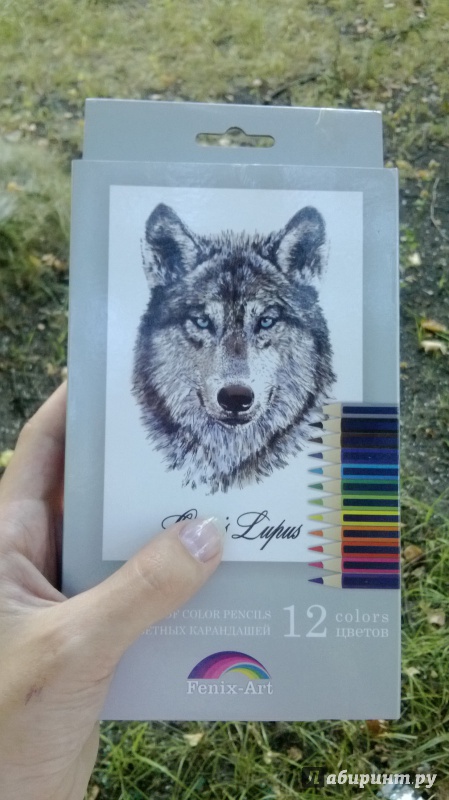 Иллюстрация 11 из 55 для Набор цветных карандашей, 12 цветов "Волк" (32870-12) | Лабиринт - канцтовы. Источник: Киссяндра