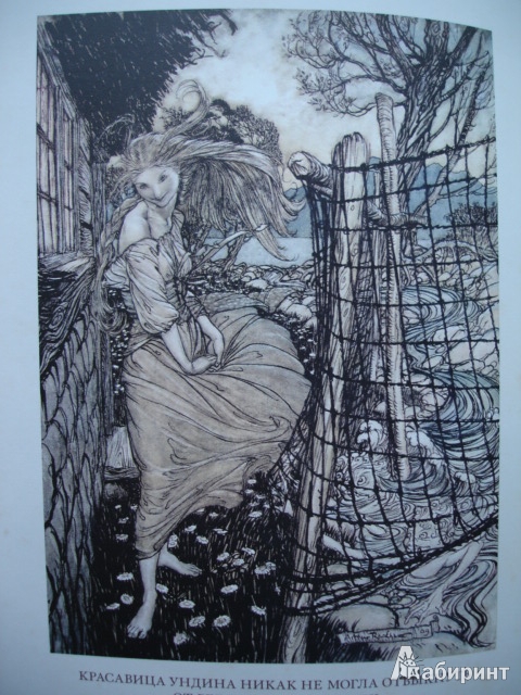 Иллюстрация 5 из 62 для Ундина - Фуке Де Ла Мотт Фридрих | Лабиринт - книги. Источник: Blackboard_Writer