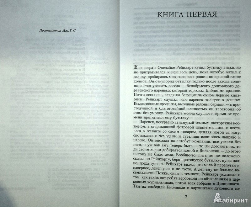 Иллюстрация 5 из 19 для В зеркалах - Роберт Стоун | Лабиринт - книги. Источник: Леонид Сергеев