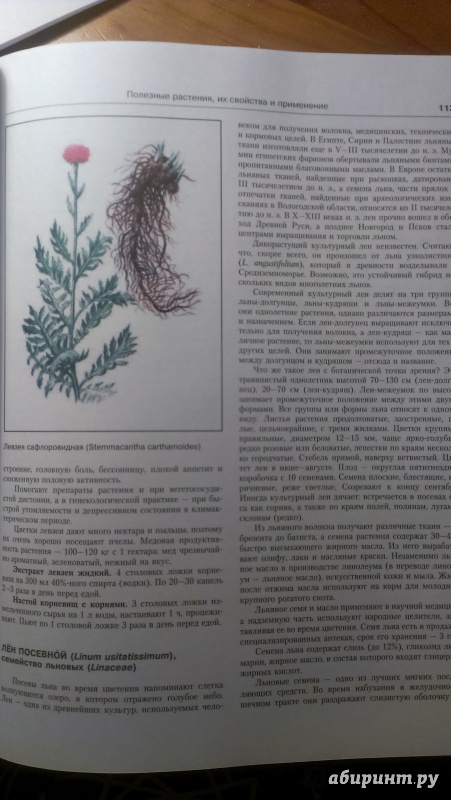 Иллюстрация 5 из 16 для Лекарственные растения. Иллюстрированный атлас - Николай Сафонов | Лабиринт - книги. Источник: Юлия